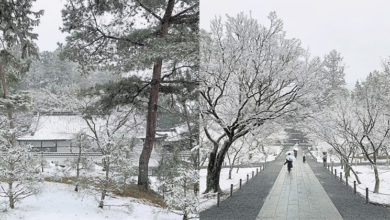 Photo of 【这里那里】京都下了一场雪给我看
