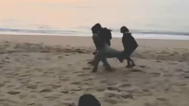 Photo of 硬抬海龟妈妈 3男恶行惹众怒