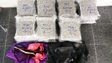 Photo of 毒枭剪破围篱掷入境 警截获79万元大麻花