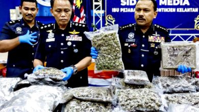 Photo of 警方逮捕夫妇 起获值310万大麻