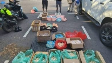 Photo of 拥4866海龟蛋 4男女坐牢罚款