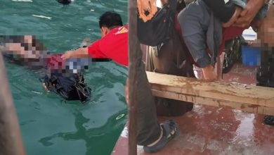 Photo of 骑士遭撞飞坠海 钓鱼客英勇救人