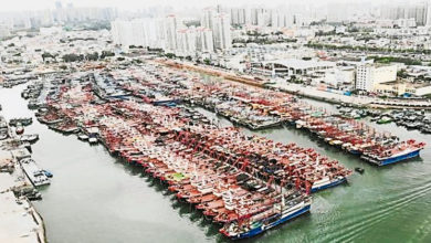 Photo of 料今晚登陆 台风韦帕吹向深圳文昌