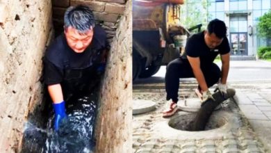 Photo of 网传“掏粪”5天能赚近RM5k？ 业界曝关键：没那么简单