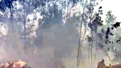 Photo of 鹅唛爆发2林火 1消拯员灭火炙伤