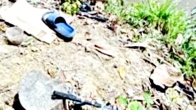 Photo of 男子河边垂钓 遭鳄鱼攻击失踪