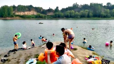 Photo of 河南水库成“野泳乐园” 人狗戏水无视“饮用水源地”标语