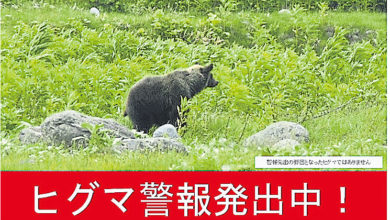 Photo of 送报员凌晨遇袭身亡 北海道首发棕熊警报
