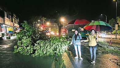Photo of 而连突多地大风雨 树倒电缆落地屋顶掀开
