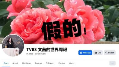 Photo of 老千冒《文茜的世界周报》名义行骗 七旬妇坠投资骗局痛失逾20万