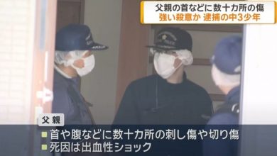 Photo of 15岁少年乱刀砍杀医生爸 玩乐了1天才自首