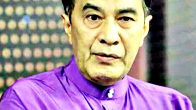 Photo of 诽谤丹木材公司罪成 胡桑慕沙须赔20万