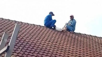 Photo of 罕见救援！ 2山羊竟爬上屋顶 出动民防队救下