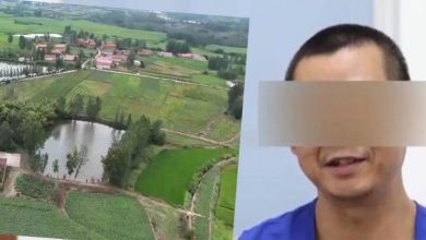 Photo of 中国男看小说学盗墓　挖走20件国宝