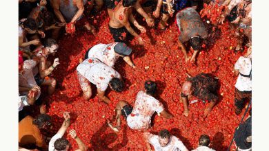 Photo of “番茄大战” 2万人投掷120吨番茄