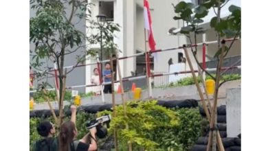 Photo of 猴群闯组屋区扰民 水珠枪镭射笔驱赶返树林