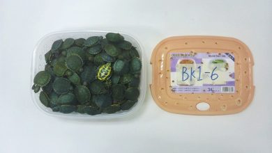 Photo of 走私2500只龟 印度男机场就擒