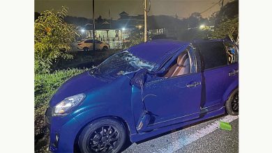 Photo of 风雨夜袭树倒砸车 男童罗里司机受伤