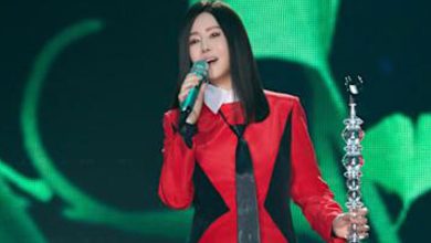 Photo of 开唱突遇4级地震 江蕙“以为演唱会效果”