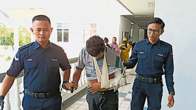 Photo of 专在便利店偷奶粉党落网 男子控2罪保外