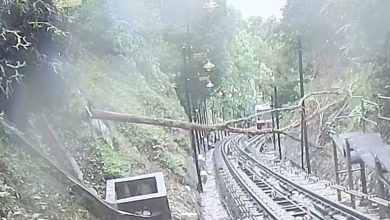 Photo of 倒树拦路 升旗山缆车一度停运