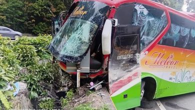 Photo of 旅巴从云顶下山猛撞1车1德士    轿车半邉撞毁  德士巴士毁车头
