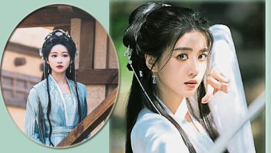 Photo of 李凯馨辱华胜诉仍出局 《赴山海》AI换脸救场