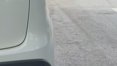 Photo of 行驶中轿车 突被箭射中