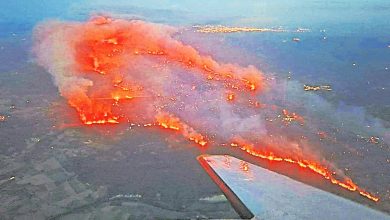 Photo of 法山火持续蔓延逾万公顷