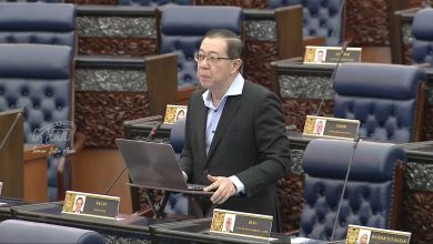 Photo of 林冠英:非土著拨款仅占土著拨款3% 政府应提高至10%以示公平