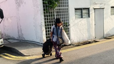 Photo of 华女流落街头逾一周 有人认识她?