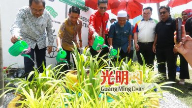 Photo of 300学生献力改造 米都垃圾巷变壁画街