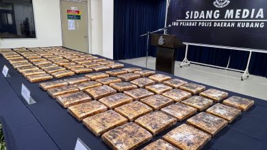Photo of 吉警瓦解跨境走私集团 起29万元大麻捕4男