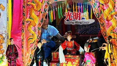 Photo of 杜爱花多年不懈推广 潮州木偶戏 渡洋发亮