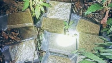 Photo of 看到PGA 30万也不要了