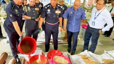 Photo of 警方及多单位破非法销售沉香木集团 起逾1亿充公物