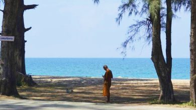 Photo of 住海边活更久？研究这么说