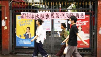 Photo of 中国逾7000人感染基孔肯雅热 无人机寻积水 违例者罚款
