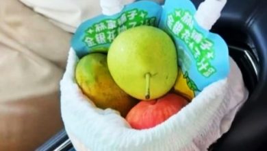 Photo of 冰镇饮料水果还不漏水 纸尿裤当冰袋“嘎嘎冰爽”