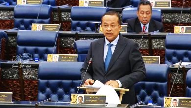 Photo of 【国会】避免州发展被政治影响 登大臣：RMK13应赋权州政府