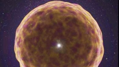 Photo of 恒星内部结构究竟如何？一次罕见超新星爆发研究揭示