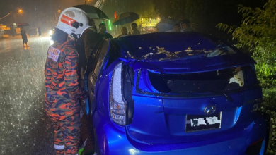 Photo of 狂风暴雨酿灾 树倒压毁轿车母子逃死劫