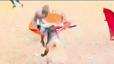 Photo of 哥伦比亚斗牛节酿悲剧 男子被牛角撞飞身亡