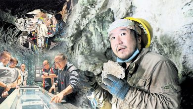 Photo of 动物考古学家林泽升 深耕科学与人文交汇点