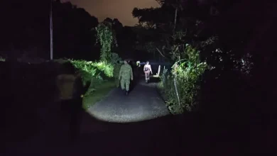 Photo of 家属烧香入林寻人 “凯星，回家! ”
