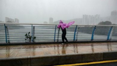 Photo of 台风“剑鱼”过境 三亚暴风雨逾10万人受灾