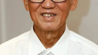 Photo of 倒挂国旗风波| 陈思源：行为偏激破坏和谐 须阻有心人小事化大