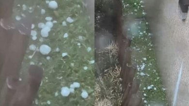 Photo of 半小时降13度！上海突然“大暴雷雨+冰雹” 居民：前1秒还晴天