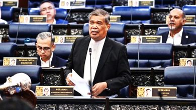 Photo of 囯会〡稳定价格 有条件开放泰猪肉进口