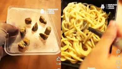 Photo of 视频〡 RM5加鸡肉 网民吐槽比橡皮擦还小